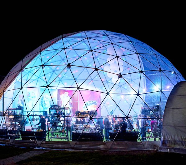 geodome (7)