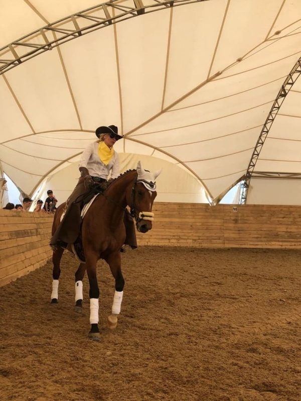 Equestrian arenas