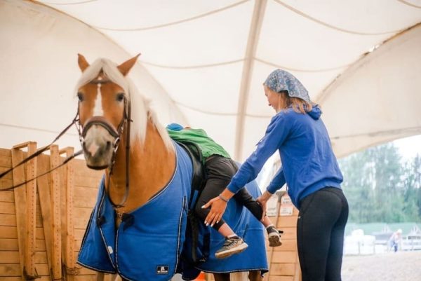 Equestrian arenas